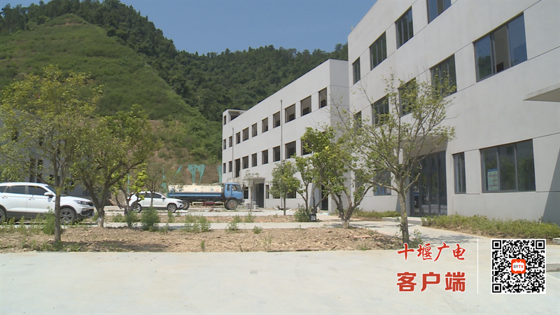 Still1201_00032