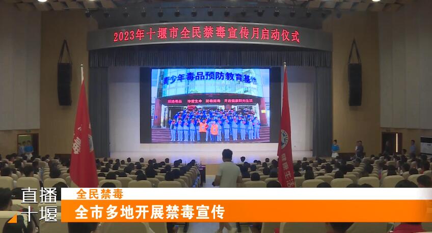 QQ截图20230626184045
