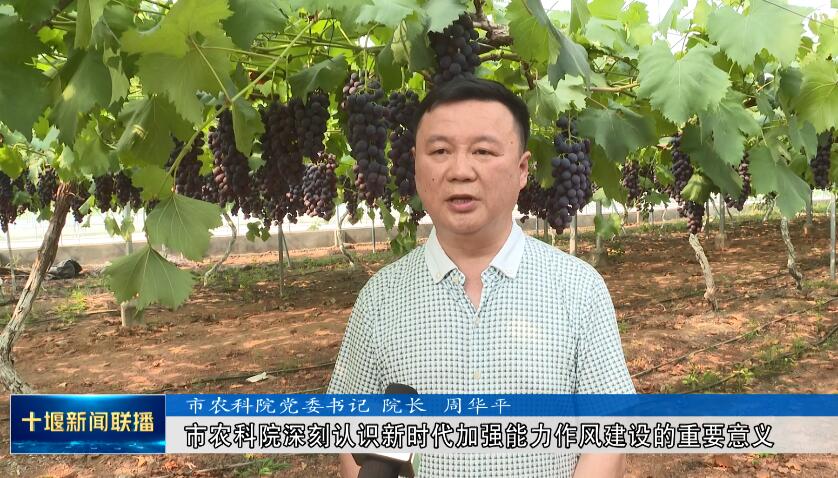 QQ截图20230628200649