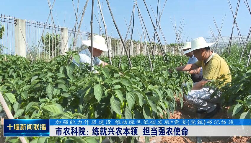 QQ截图20230628201031