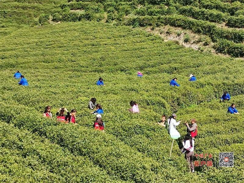 微信图片_20230629164653