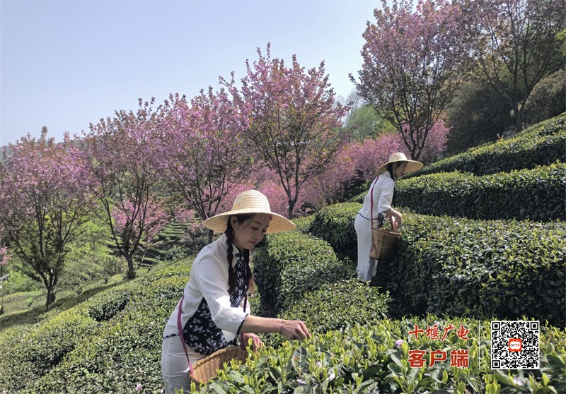 微信图片_20230629171510