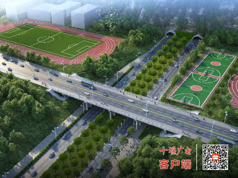《周五面对面》栏目报料二维码