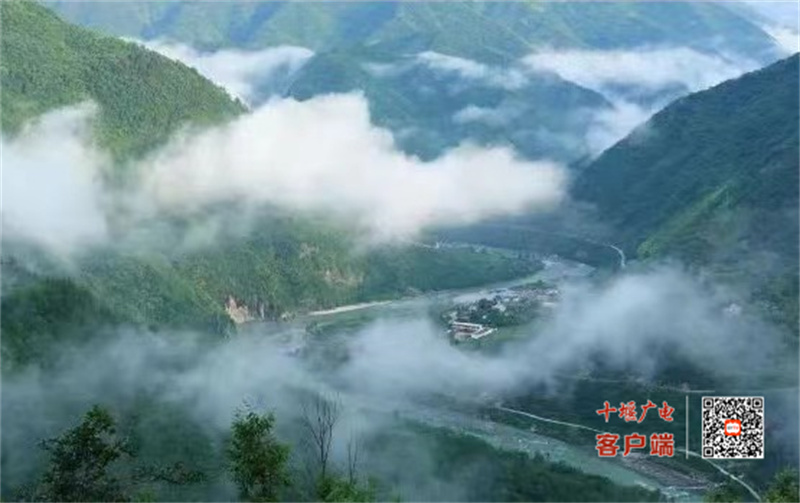 微信图片_20230709194855