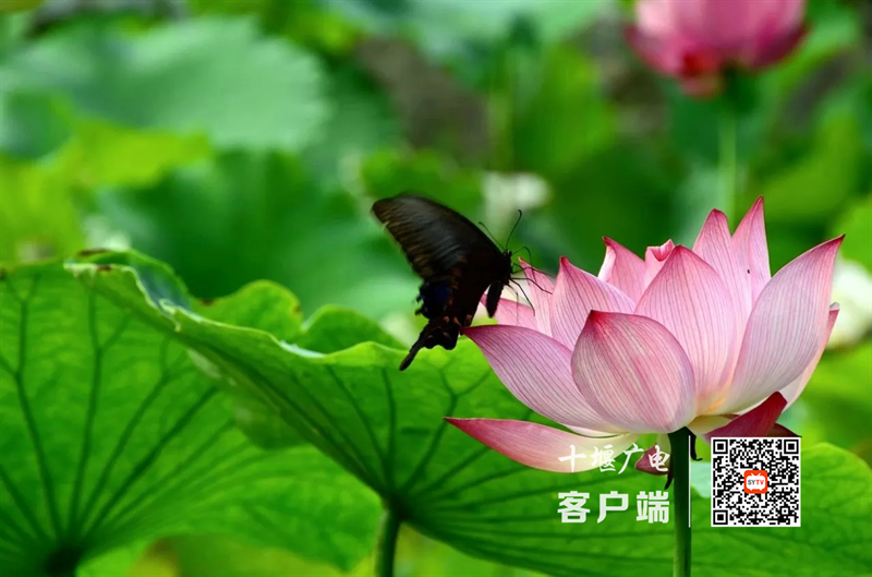 微信图片_20230713160355_副本