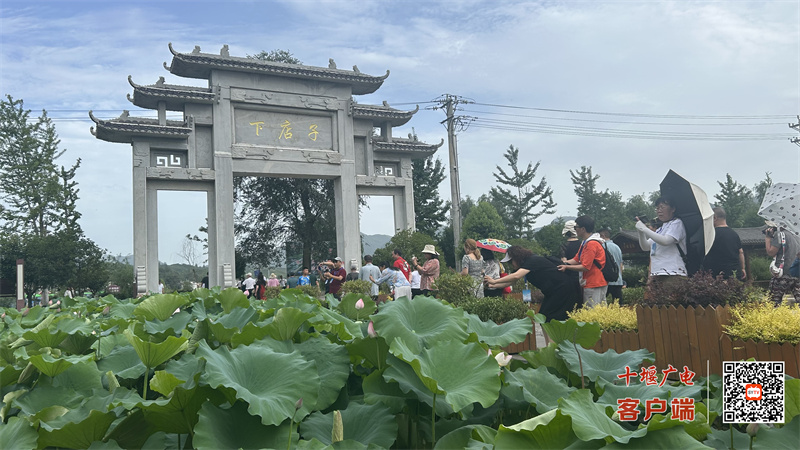 微信图片_20230715121911