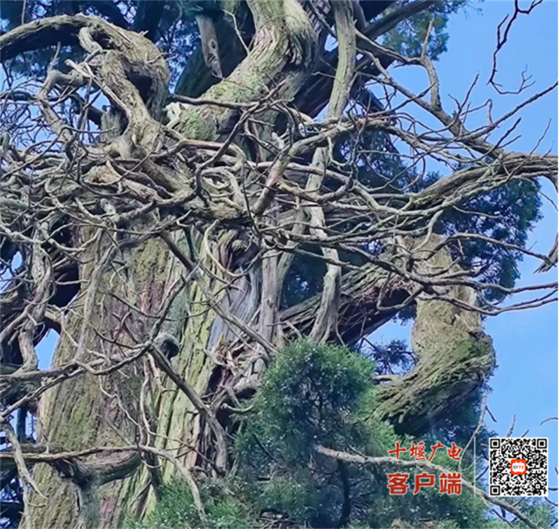 微信图片_20230717110506