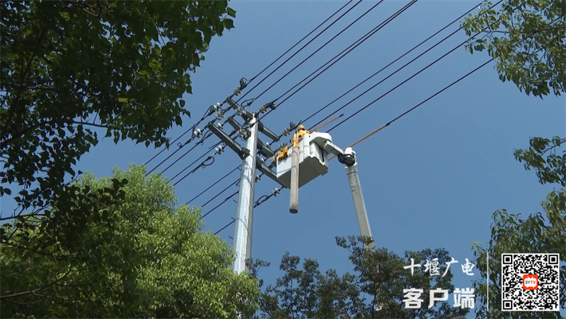 QQ图片20230719114557_副本