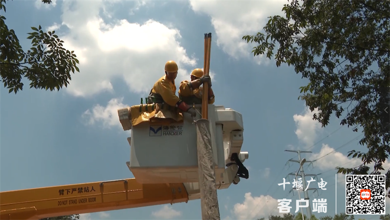 QQ图片20230719114714_副本