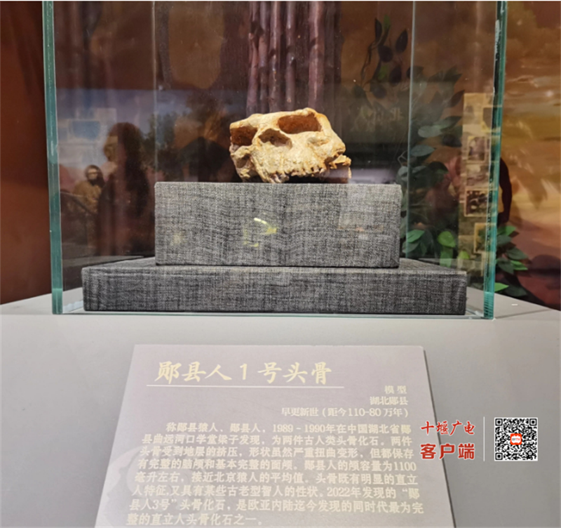 微信截图_20230724200357