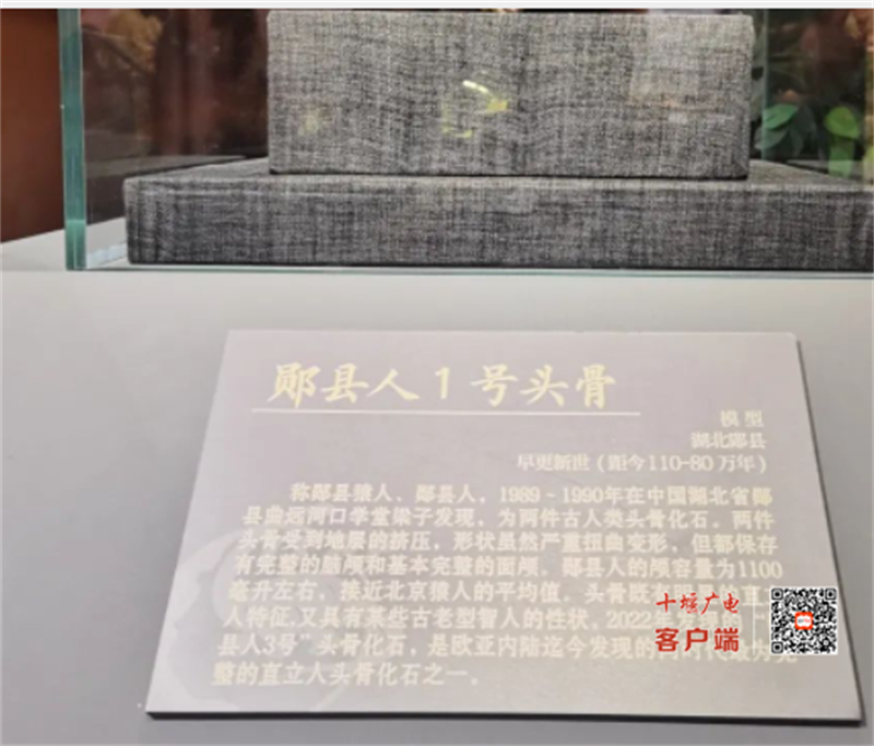 微信截图_20230724200410