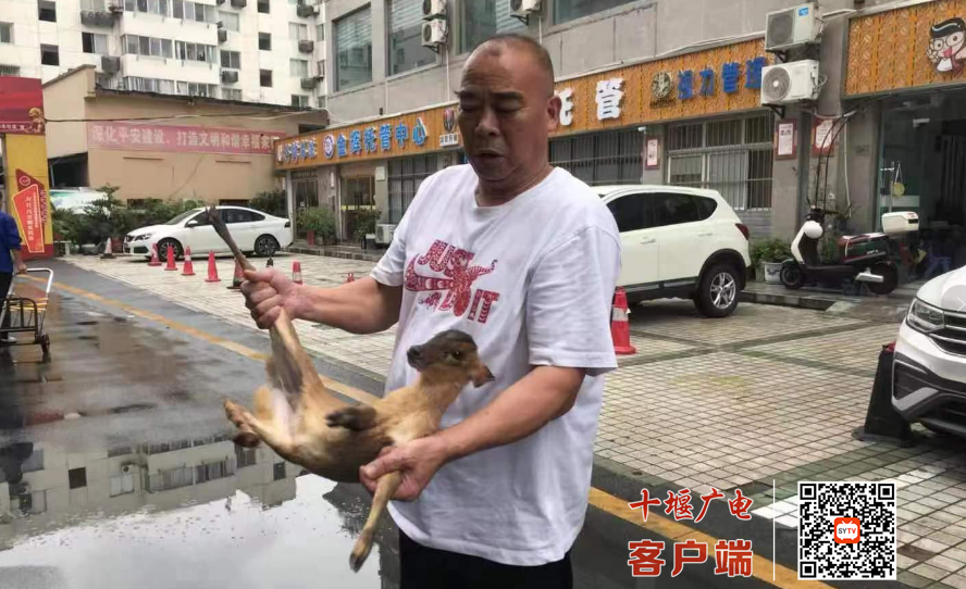 QQ图片20230727101200