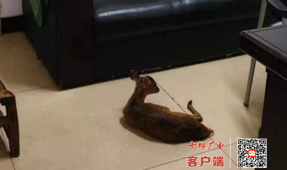 QQ图片20230727101148