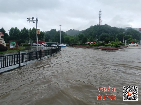 微信图片_20230728092733_副本