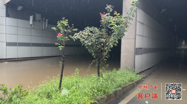 360截图20230728110323686_副本