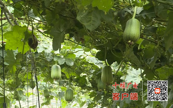 02_副本