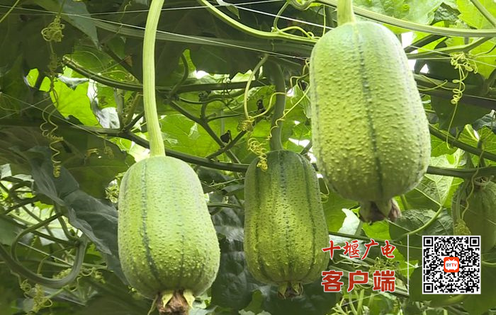 03_副本