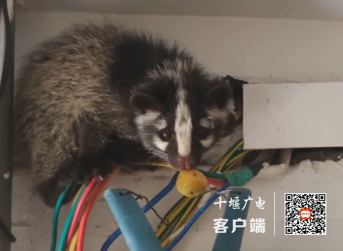 10_副本
