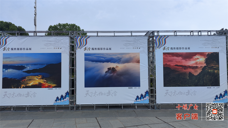 图片 3