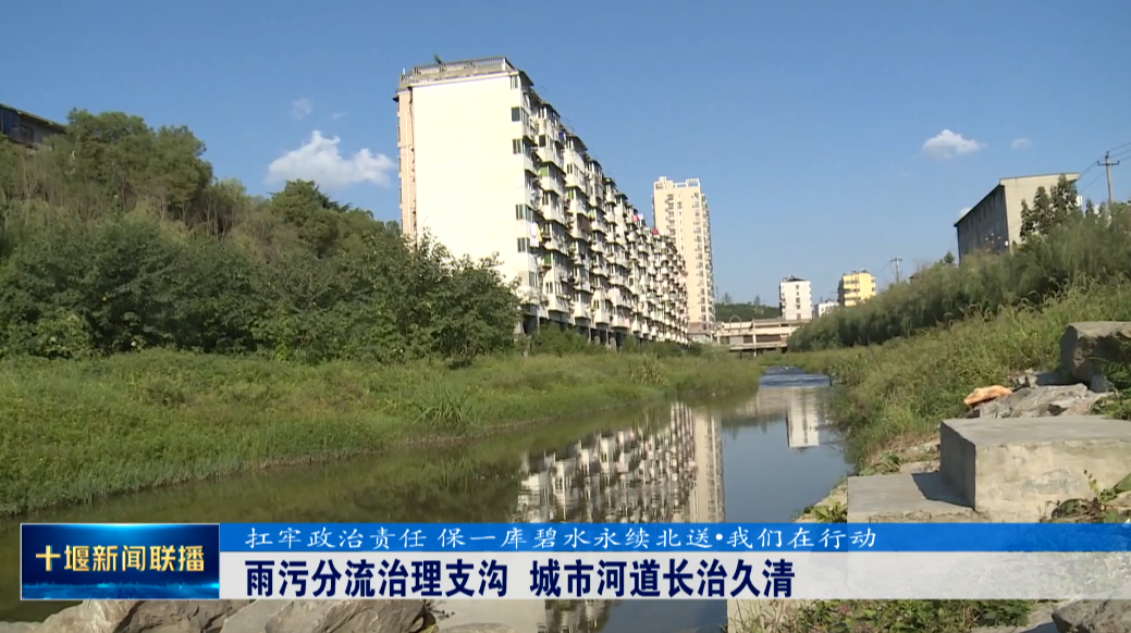 QQ图片20230812181140