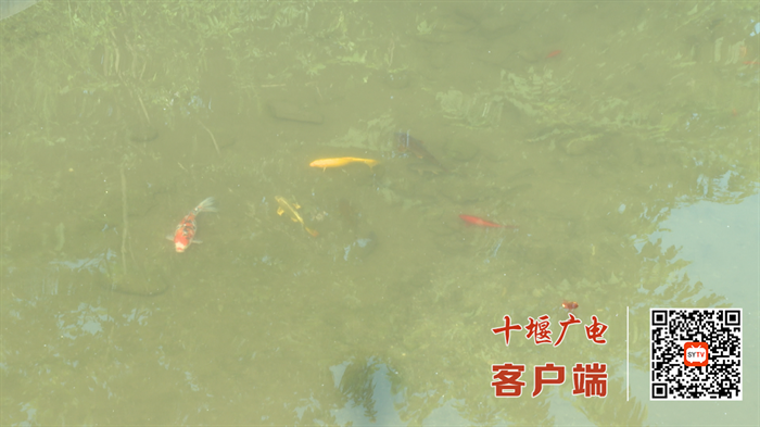 02_副本