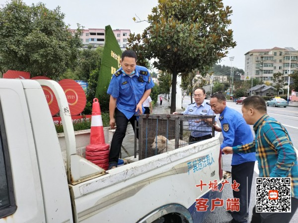 微信图片_20230619162710
