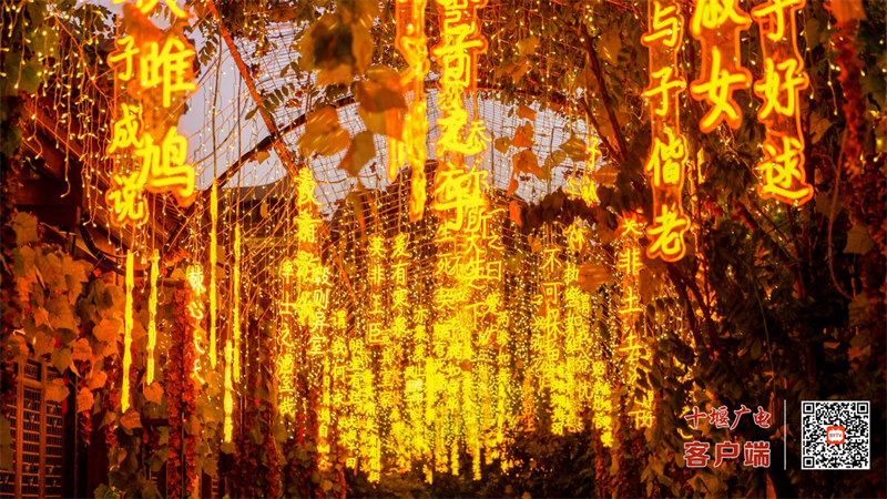 图片 7