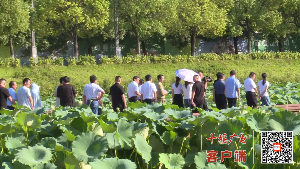 微信图片_20230824221110_1_副本