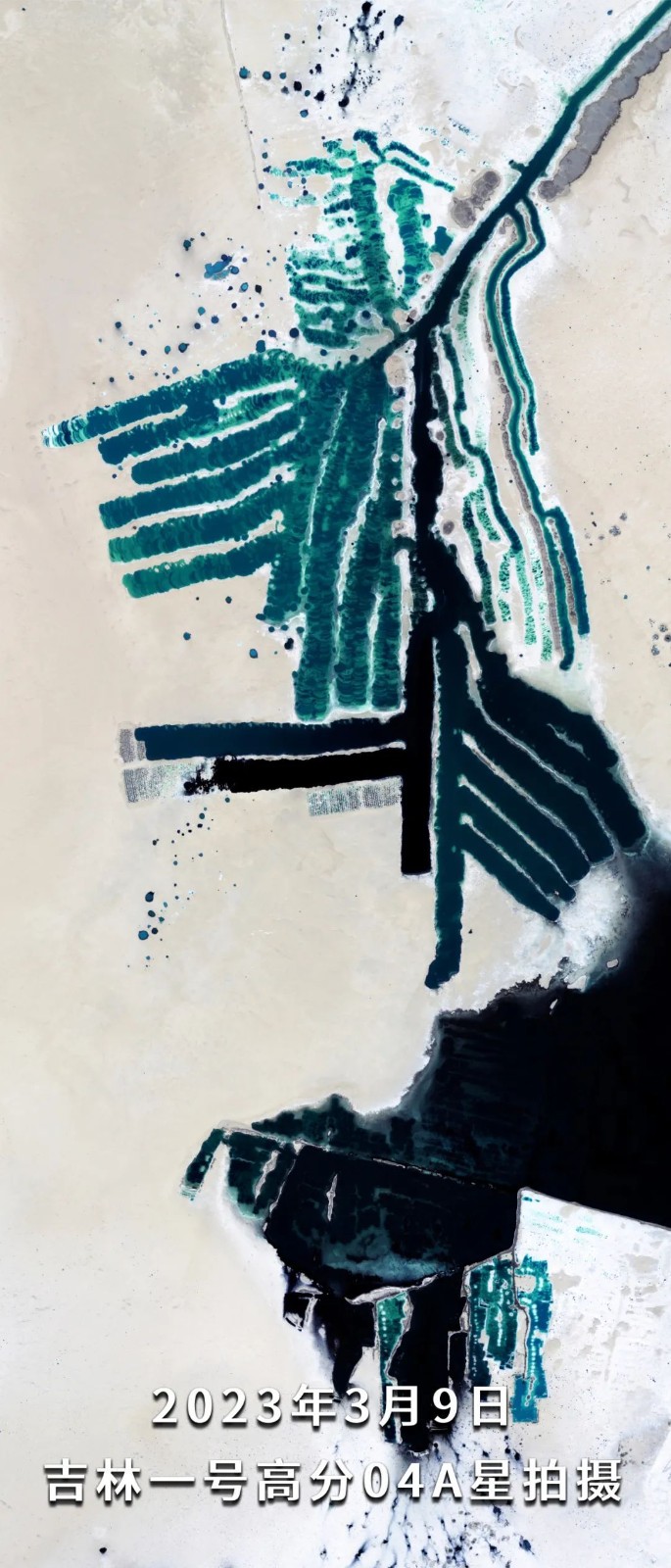 747cf9345146981206781b4a5696c6b4