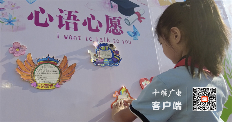 微信图片_20230830165447_副本