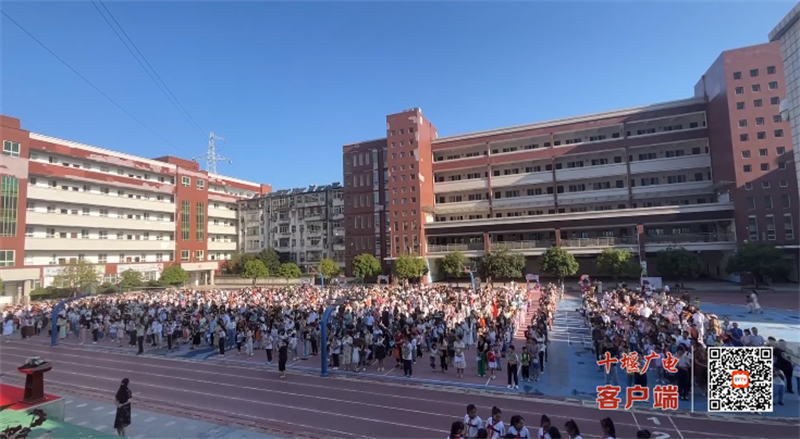 QQ图片20230831164524