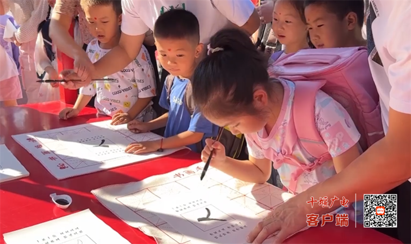QQ图片20230831175413