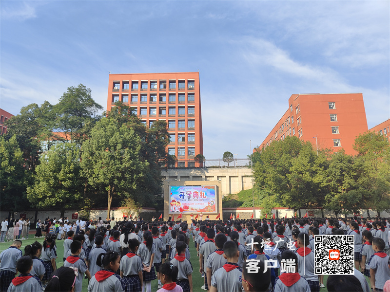 微信图片_20230901182532_副本