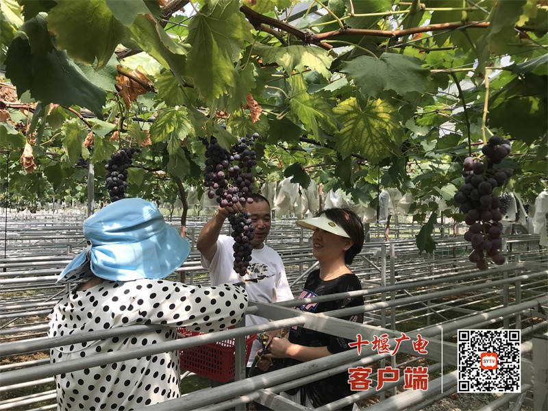微信图片_20230906145613