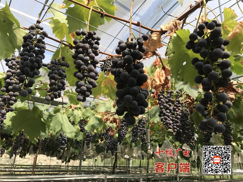 微信图片_20230906145607