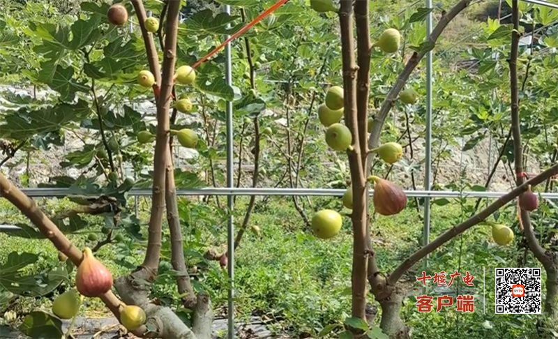 QQ图片20230914171052