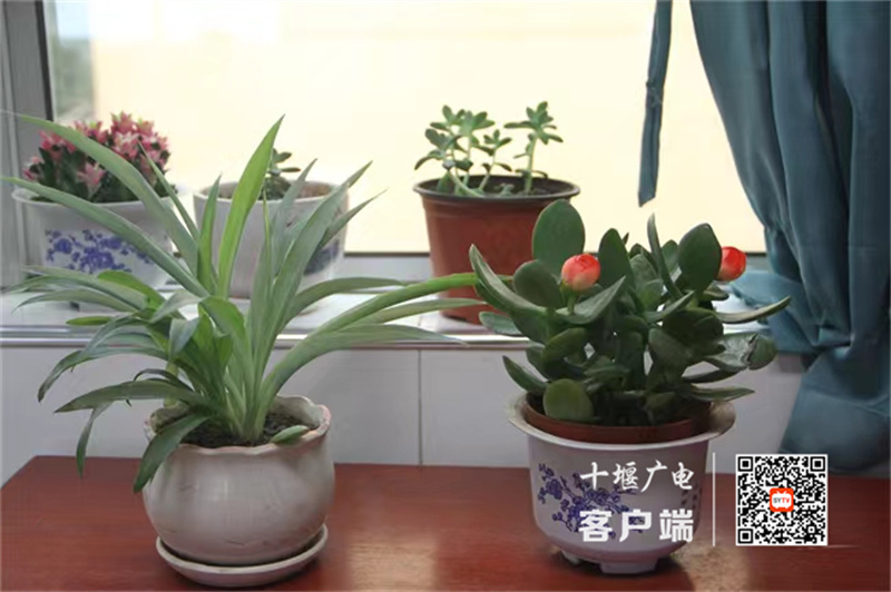 微信图片_20230914174026_副本