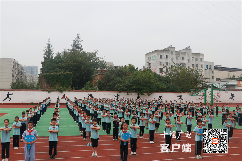 微信图片_20230918190638_副本