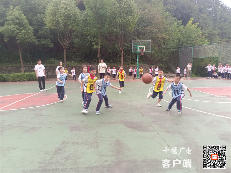 图片3