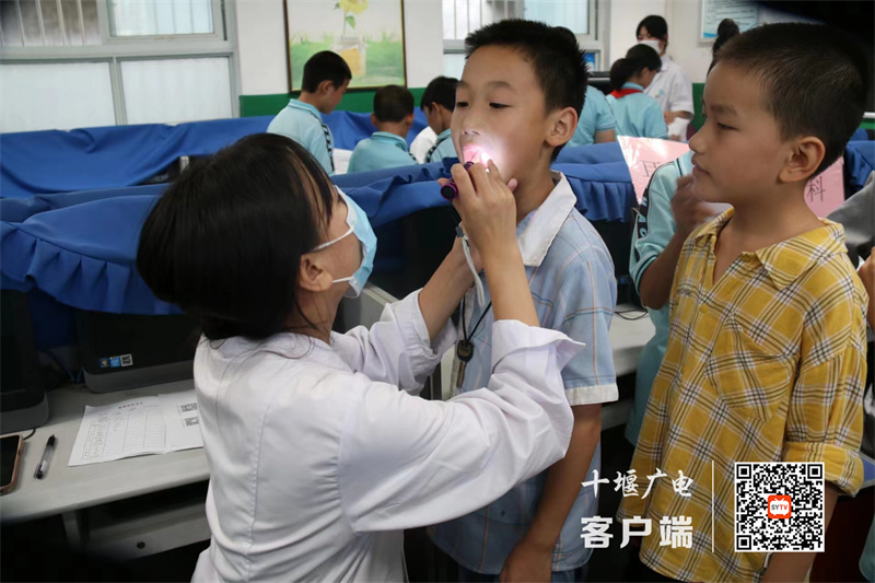 微信图片_20230918190606_副本
