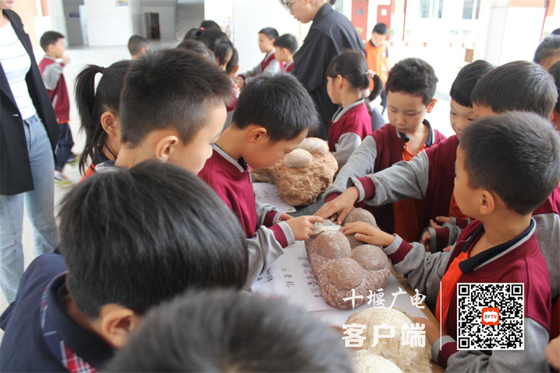 图片 4