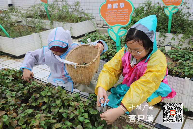微信图片_20230928233112_副本