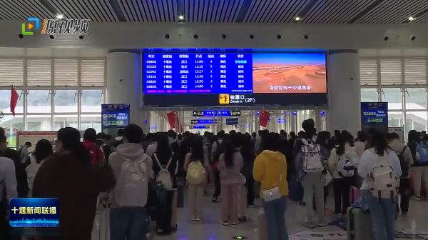 QQ图片20231006185252