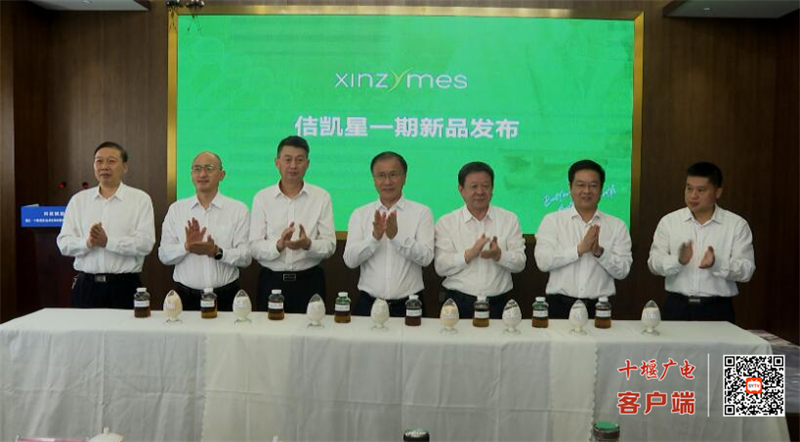图片 3