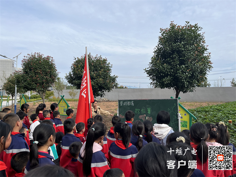 微信图片_20231009100641