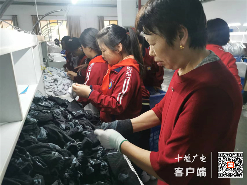 微信图片_20231009101005