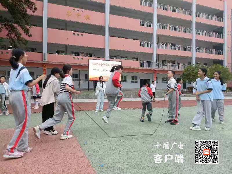 微信图片_20231010134844_副本