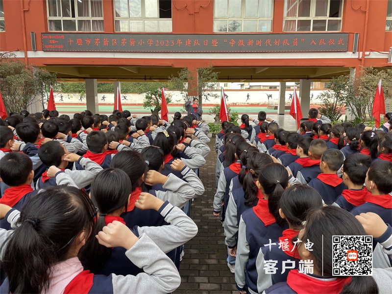 微信图片_20231010140857_副本