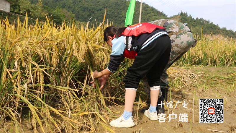 7_副本