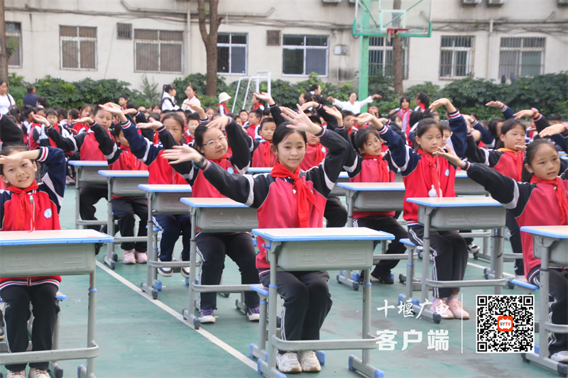 微信图片_20231011172352_副本